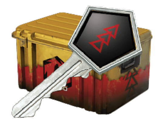 头号特训武器箱（10个一组）